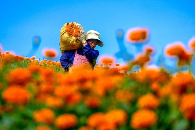 A scenic view of Honghe Kaiyuan Changhongqiao