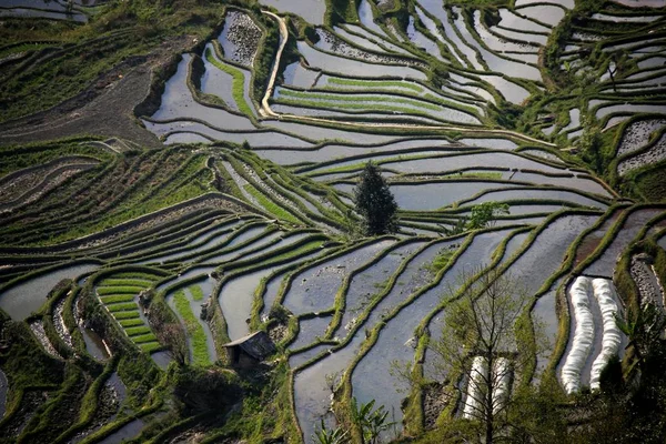 Honghe Zhoujia Zhaiyuan: Exploring the Scenic Beauty and Rich Traditions of Yunnan