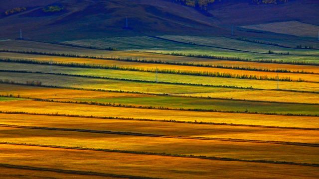 A scenic view of Hulunbuir Hakeyizhi