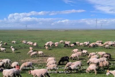 A scenic view of Hulunbuir Haotetaohaichengzhi