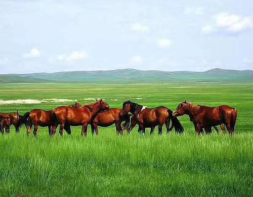 A scenic view of Hulunbuir Heishantouchengzhi