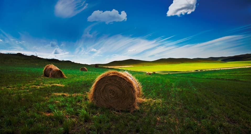 A scenic view of Hulunbuir Mogushanbeiyizhi