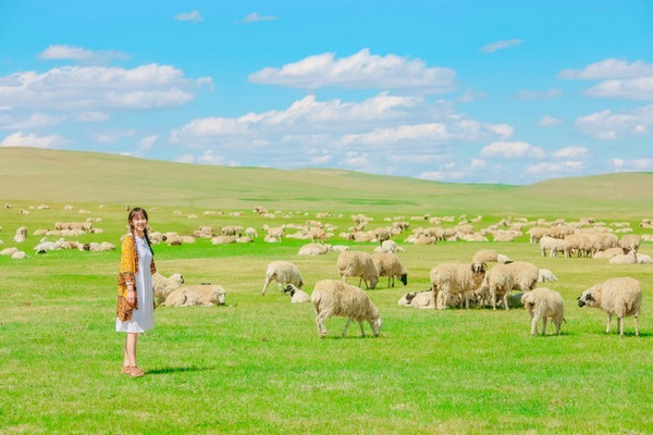 A scenic view of Hulunbuir Xieertalamudi