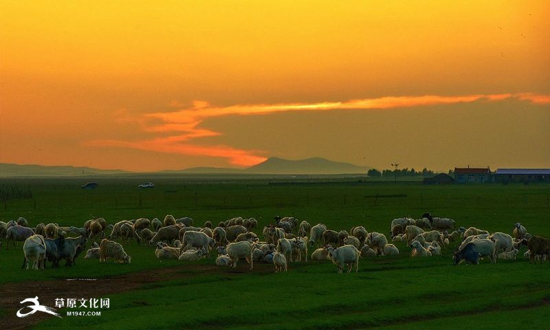A scenic view of Hulunbuir Xieertalamudi