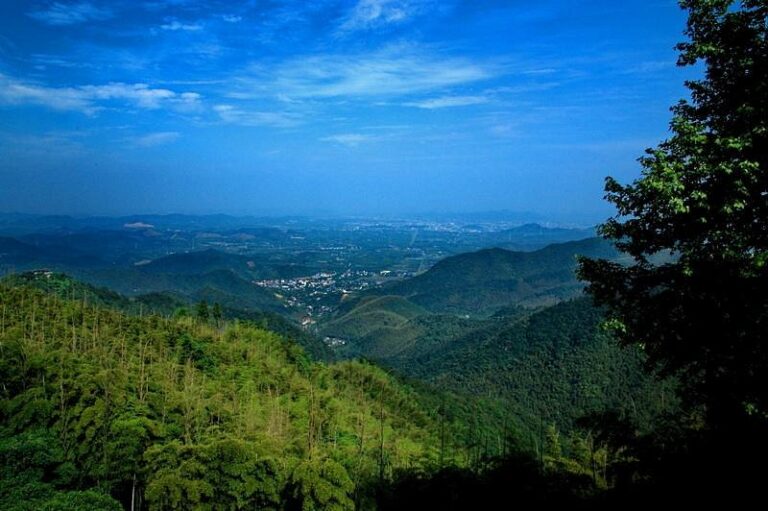 Huzhou Moganshan Bieshuqun: The Ultimate Escape for Nature Lovers in Zhejiang