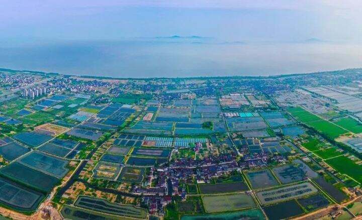 Experience Tranquility at Huzhou Taihu Lougang: Nature and Culture Combined