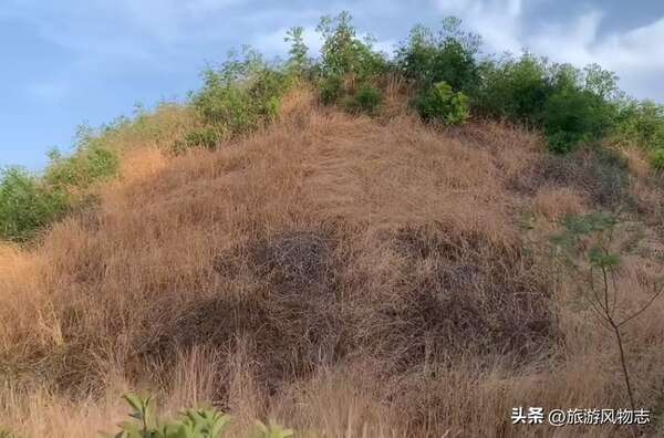 A scenic view of Jiaozuo Xuhengmu