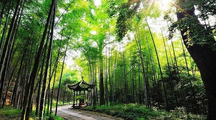 A scenic view of Jiaxing Wangguowei Guju