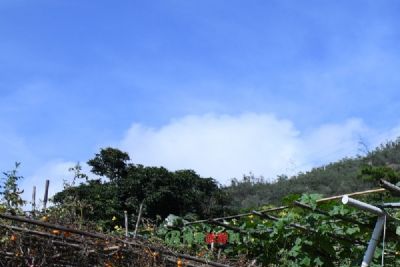 A Journey Through Jilin Dahaimeng Yizhi: Explore the Cultural and Natural Wonders