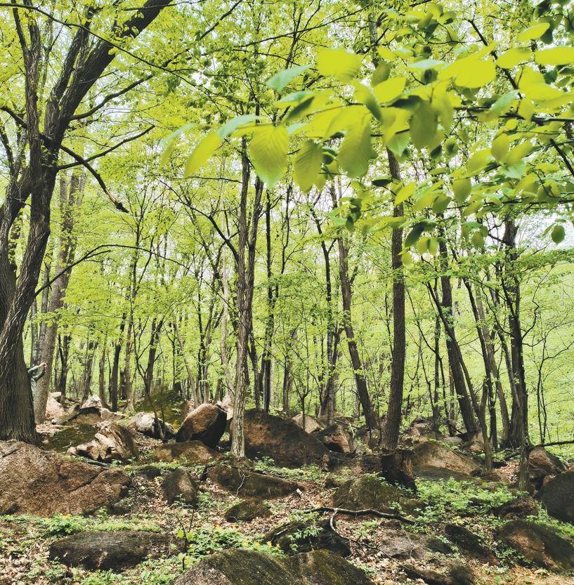A scenic view of Jilin Yufu Yizhi