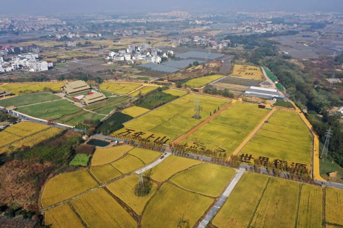 A scenic view of Jinhua Shangshan Yizhi
