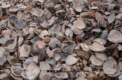 A Local’s Guide to Jinhua Tiedian Yaozhi: Best Spots for Culture and Cuisine