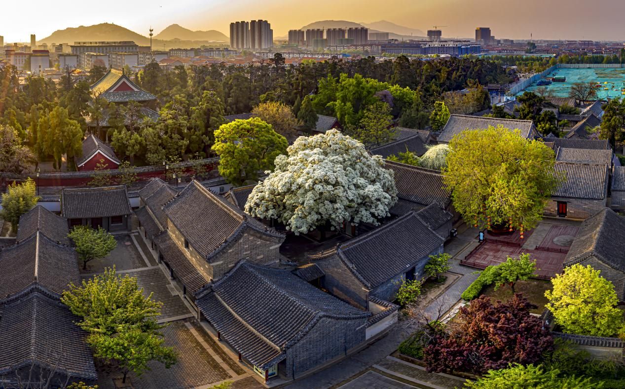 A scenic view of Jining Konglin