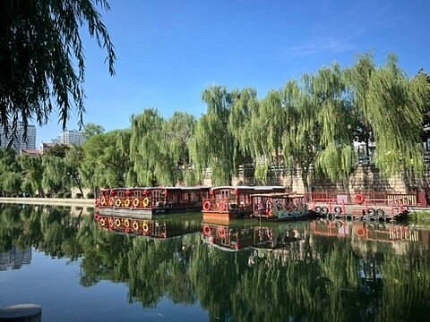 A scenic view of Jining Xiaowangzhuang Muqun