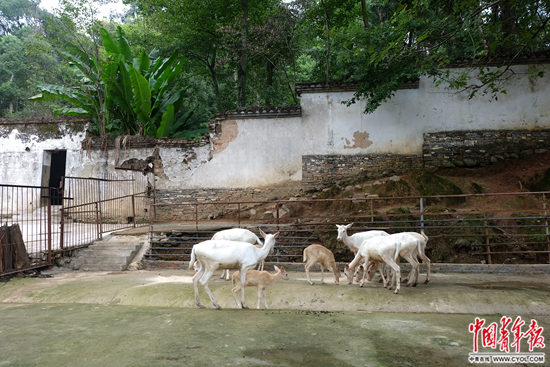 A scenic view of Jiujiang Bailu Shuyuan