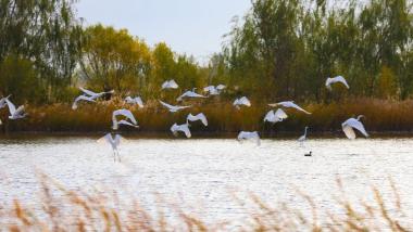 A scenic view of Jiujiang Qiaoyangcheng Yizhi