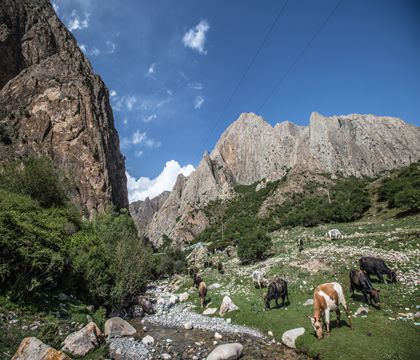 A scenic view of Lanzhou Hongcheng Gansi