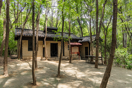 A scenic view of Liaocheng Jingyanggang Yizhi