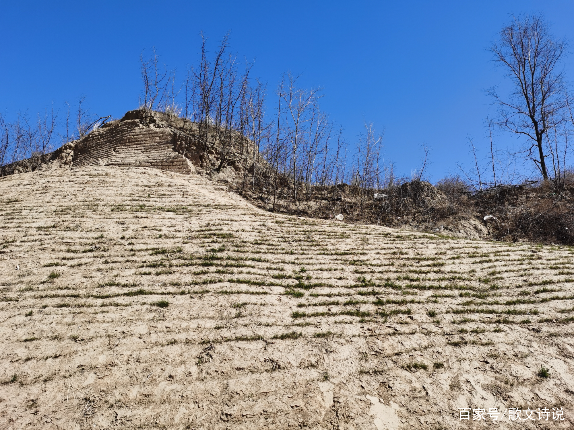 A scenic view of Liaocheng Xiaocheng Yizhi
