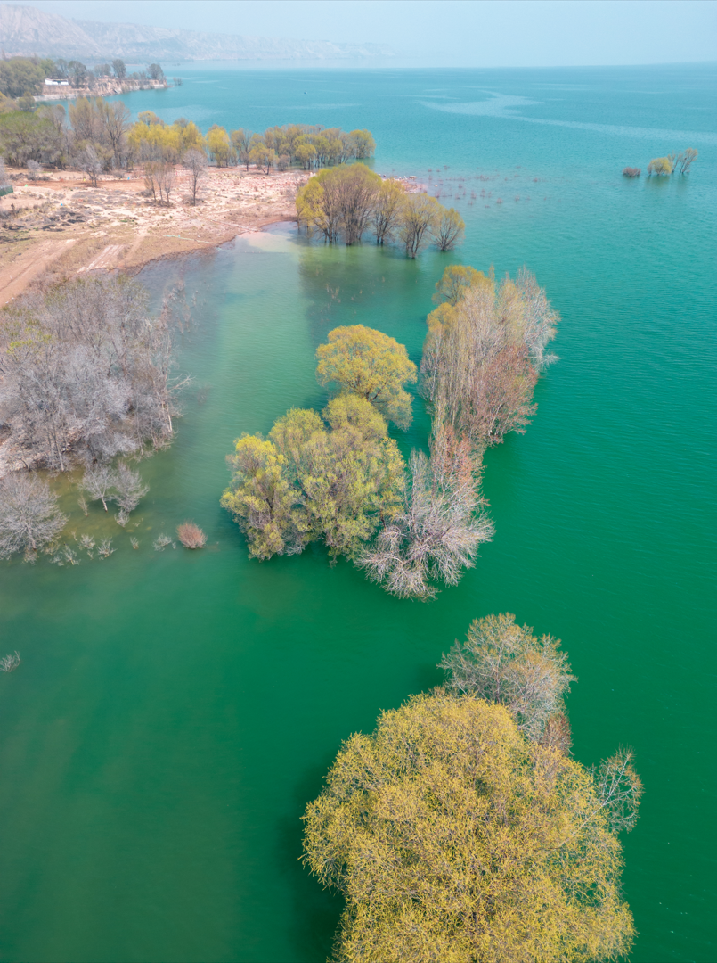 A scenic view of Linxia Bianjialin Yizhi