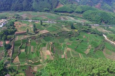 Experience Authentic Cuisine at Lishui Haochuan Yizhi: A Culinary Journey