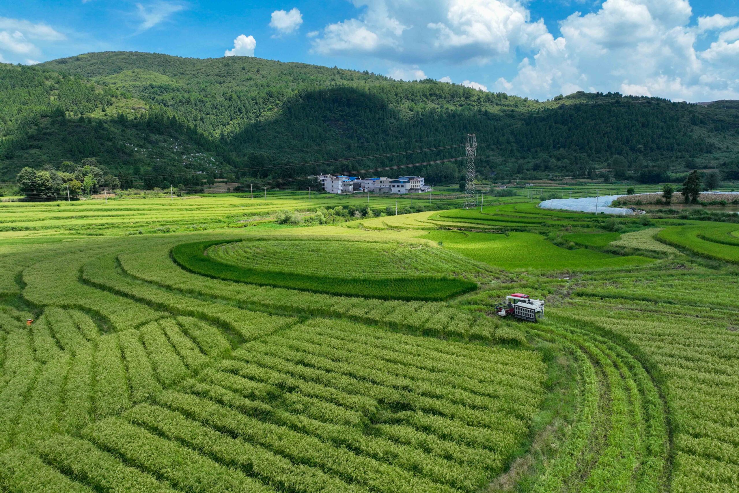 A scenic view of Liupanshui Xiaochong Muqun