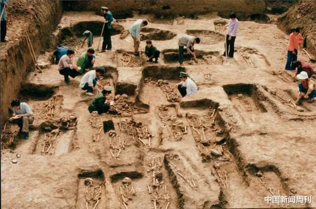 Discover the Charm of Luohe Agangisyizhi: A Hidden Gem in Henan