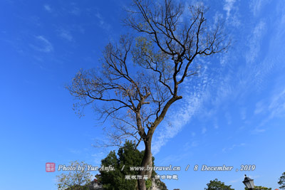 A scenic view of Luohe Wuyangbiansidadian