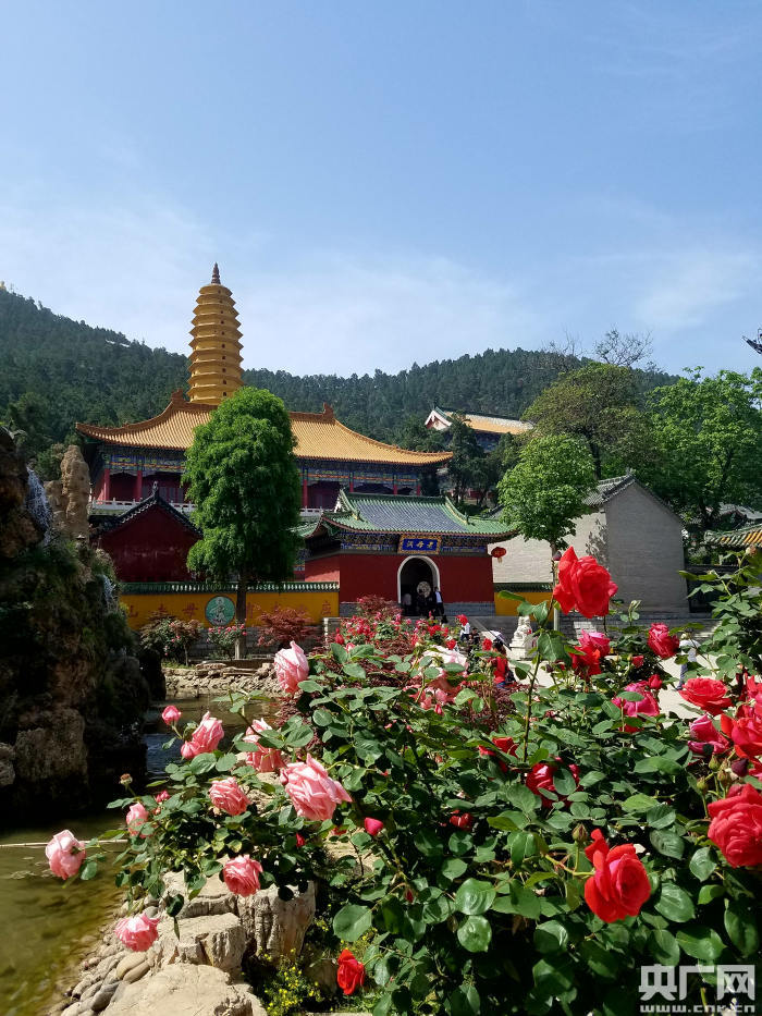 Luoyang Lingshansi: A Journey Through History and Nature in Henan