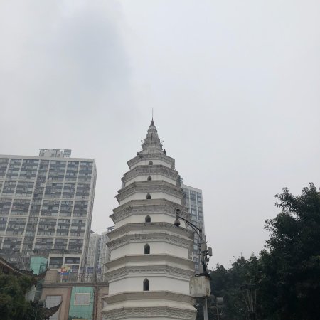 A Culinary Journey Through Luzhou Baoenta: Taste the Flavors of Sichuan