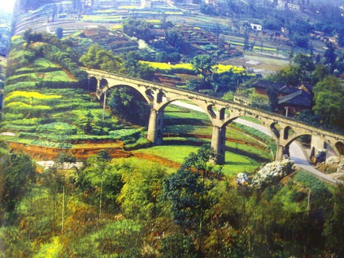 Experience the Serenity of Luzhou Qifeng Ducao: Top Activities and Attractions