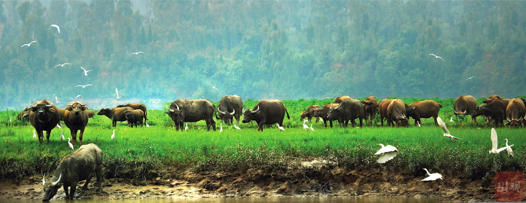 A scenic view of Nanchong Dingshi Zhuangyuan