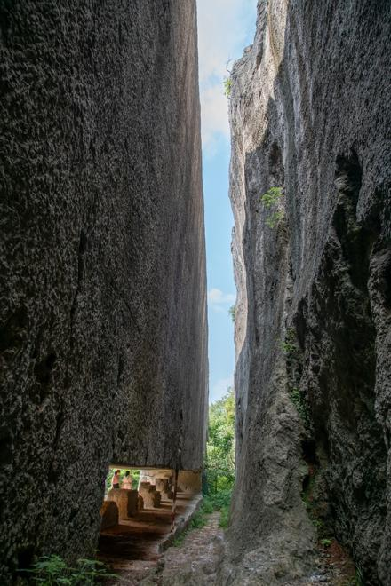 A scenic view of Nanjing Yangshan Beicai