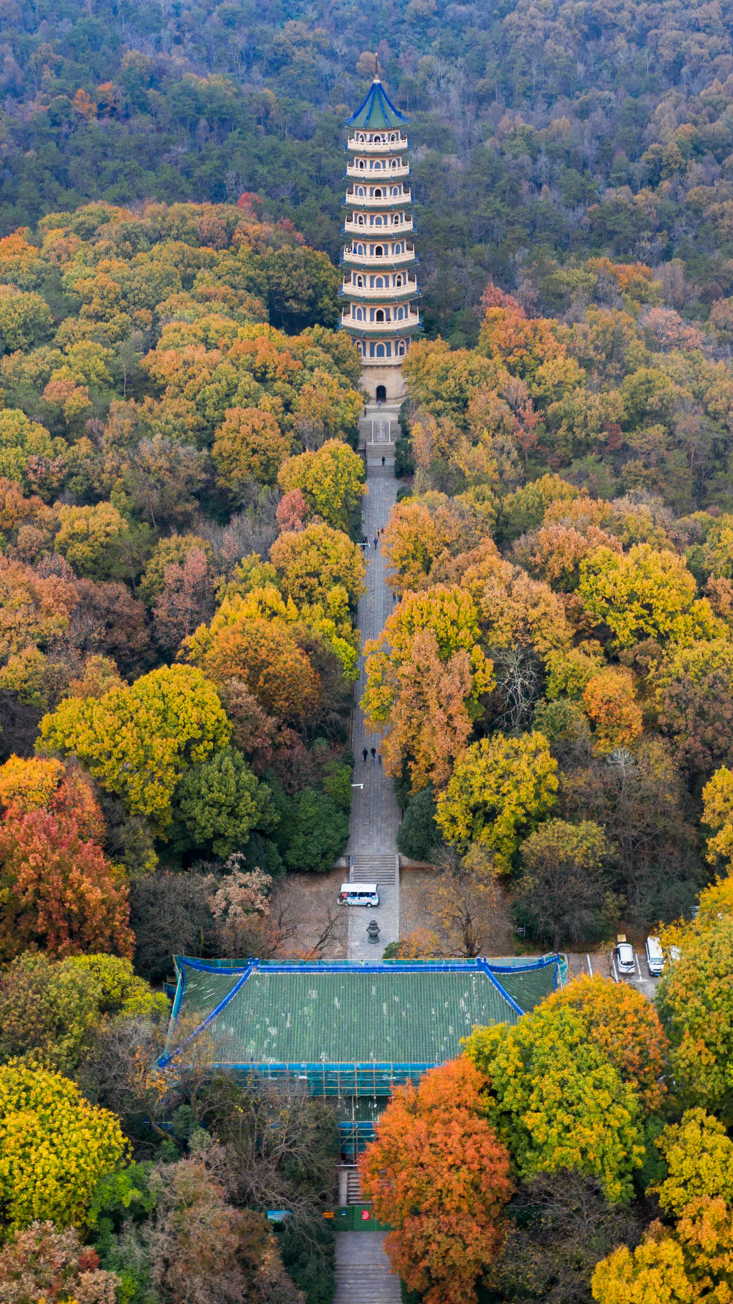 A scenic view of Nanjing Zhongshanling