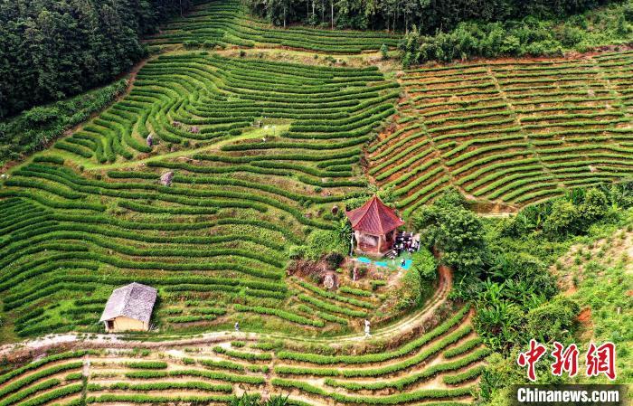 A Journey Through History: Exploring Nanping Beiyuan Yubei Yizhi