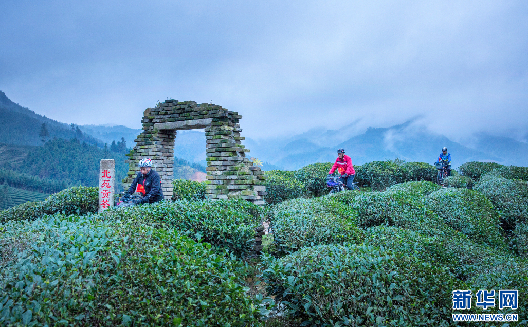 A scenic view of Nanping Beiyuan Yubei Yizhi
