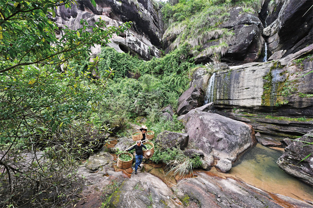 A scenic view of Nanping Wuyishan Min Gan Guyidao