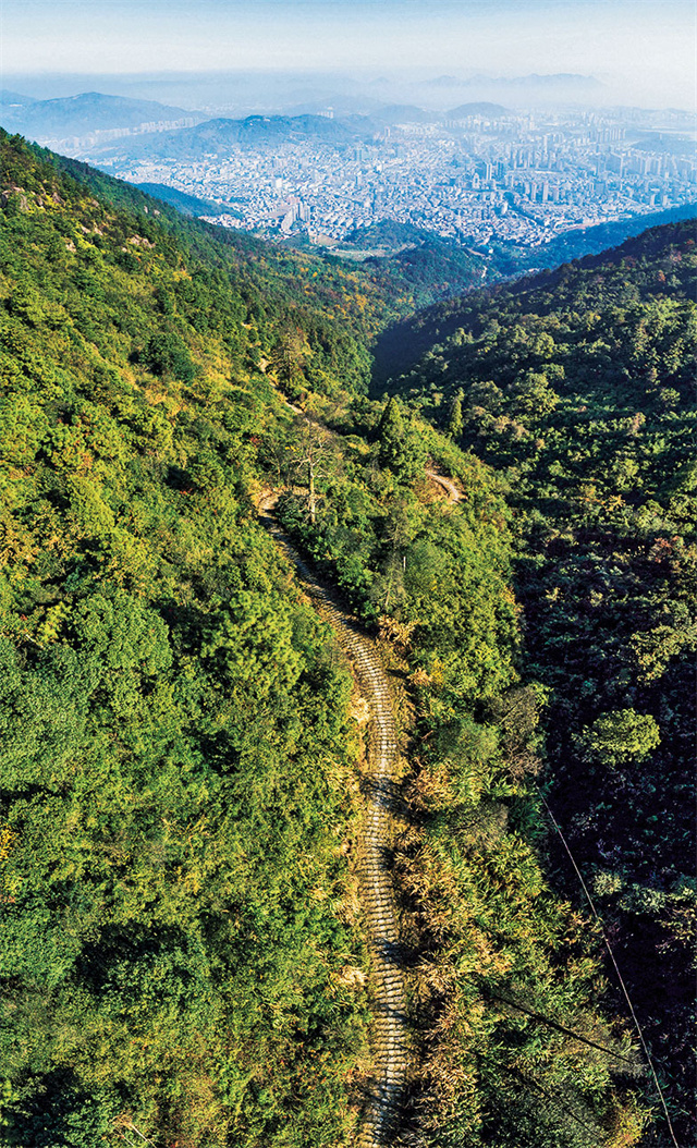 Explore the Enchanting Nanping Wuyishan Min Gan Guyidao: A Traveler’s Guide to Hidden Gems