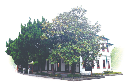 A scenic view of Nantong Dasheng Shachang