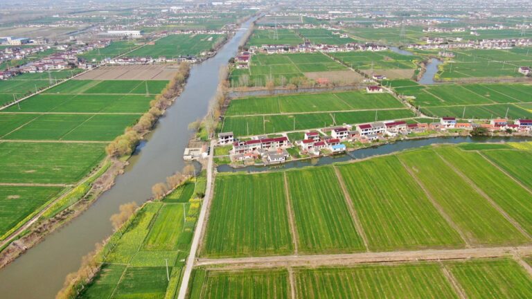 Nantong Qingdun Yizhi: A Hidden Gem of Culture and Nature in Jiangsu