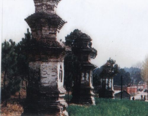 A scenic view of Nanyang Danxiasitalin