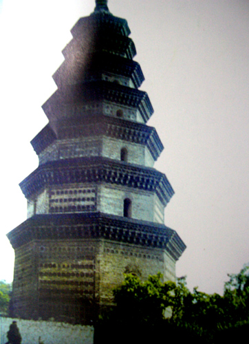 A scenic view of Nanyang Fushengsita
