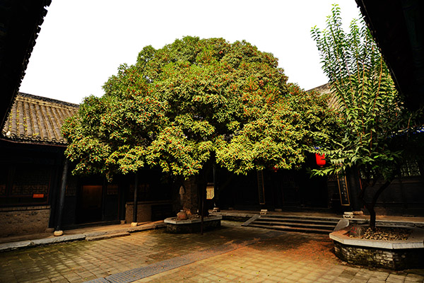 A scenic view of Nanyang Neixiangxianya