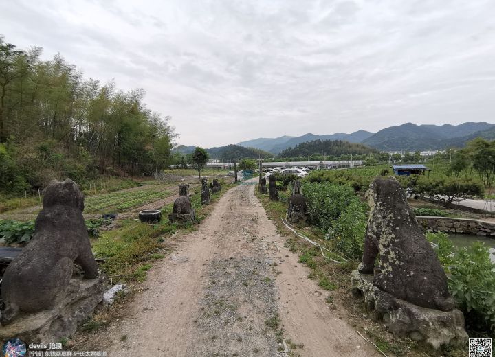 Experience the Tranquil Beauty of Ningbo Dongqianhu Muzangqun