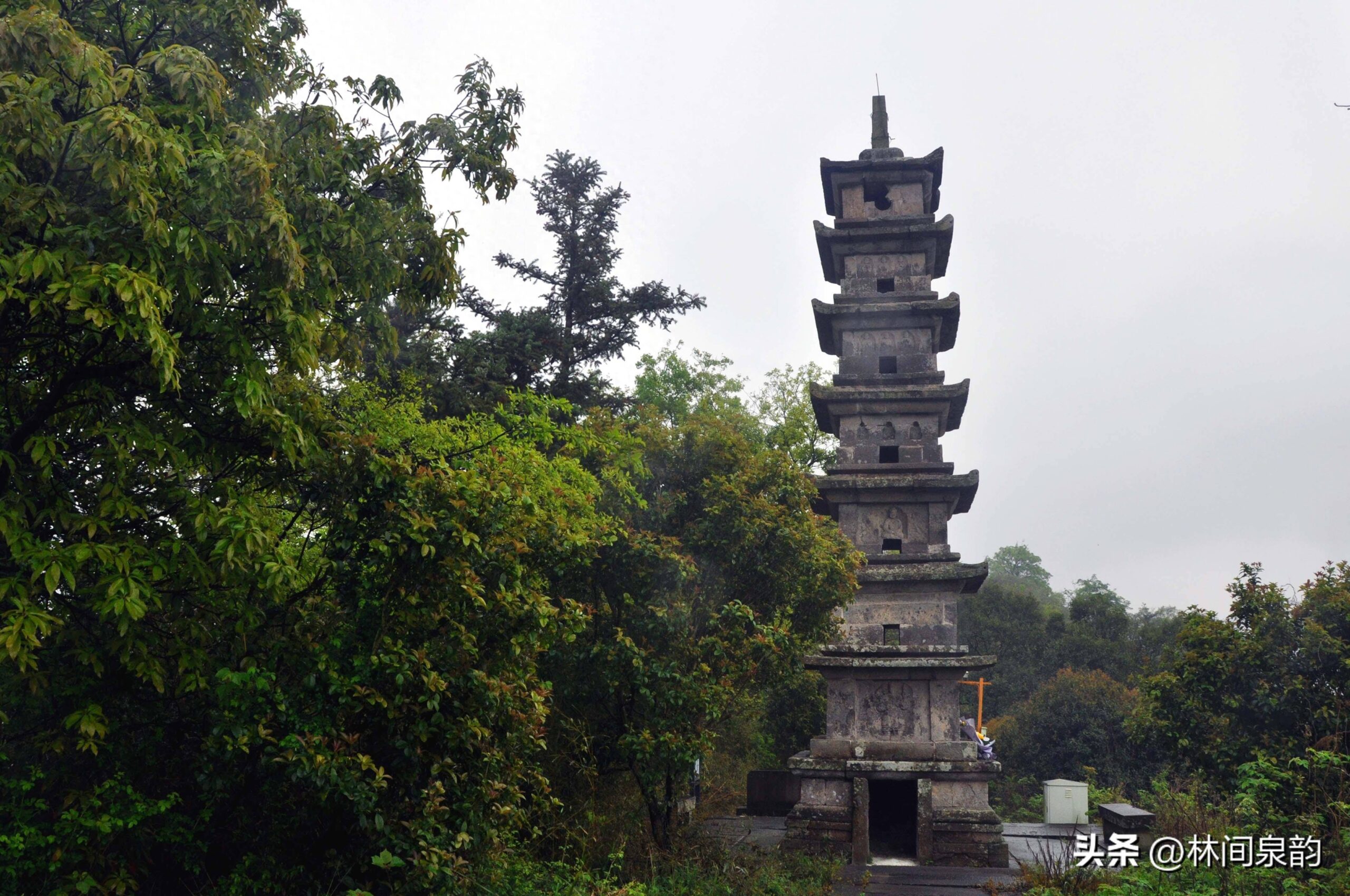 A scenic view of Ningbo Dongqianhu Muzangqun