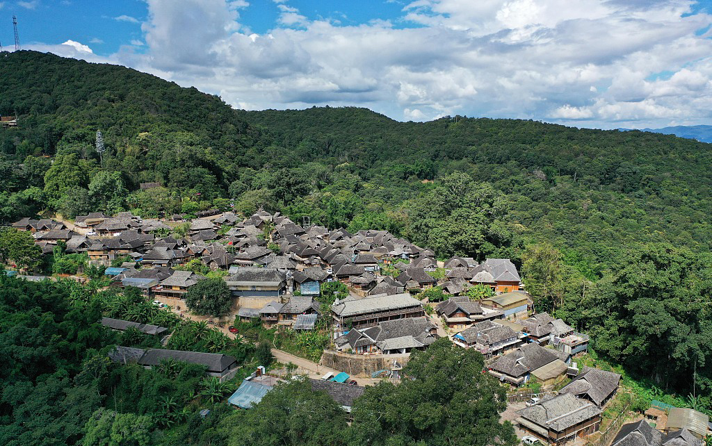 A scenic view of Puer Jingmai Guchayuan