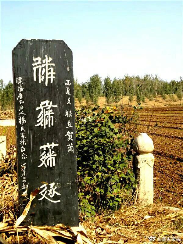 A scenic view of Puyang Tangwugongbei