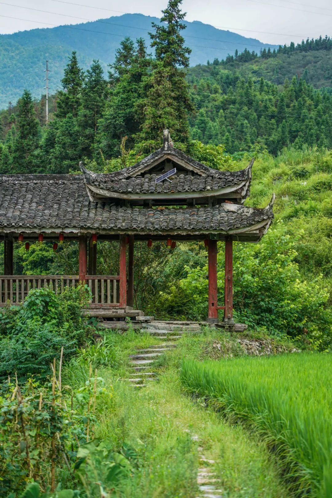 A scenic view of Qiandongnan Jingou Fengyuqiao