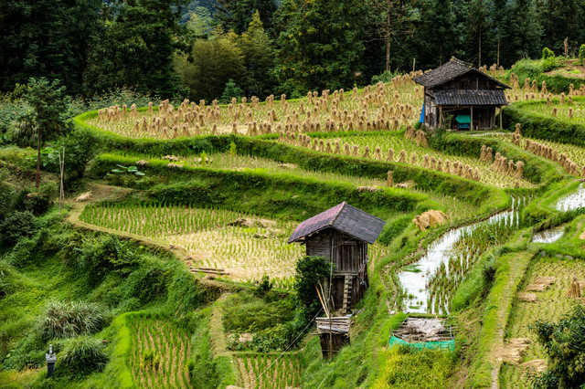 A scenic view of Qiannan Shuizu Muqun