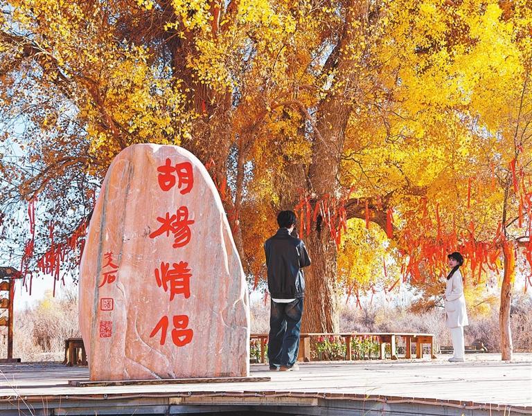 Discovering the Hidden Gem: A Comprehensive Guide to Qingyang Taerzhuang Ta in Gansu
